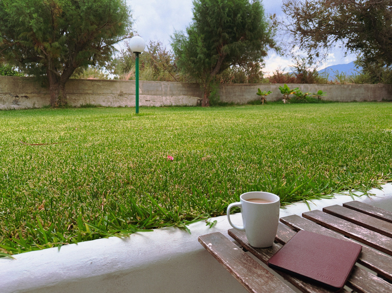 A white cup filled with a beverage and a closed brown notebook rest on a wooden surface overlooking a green lawn with trees and a lamp post in the background.