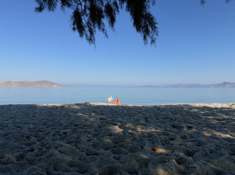 A woman is lying on a sandy beach near calm water, reading a book, viewed from the shade of tree branches.