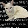 technicat@universeodon.com