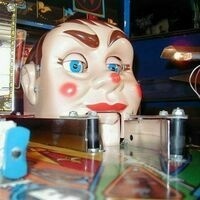 kiwifrenzy.bsky.social