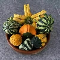 bookbrat.bsky.social