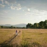 coloradocarol.bsky.social