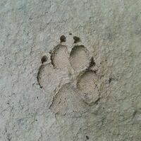 chairmanknow.bsky.social