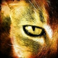 asmoth360.bsky.social