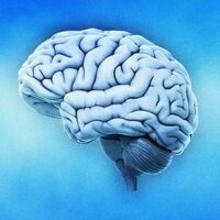 brainvsbook.bsky.social