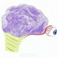 AmeliaBR@front-end.social