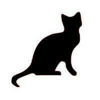 martinvermeer@fediscience.org