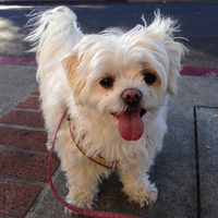 KanaMauna@sauropods.win