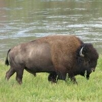 tim1724@mastodon.social