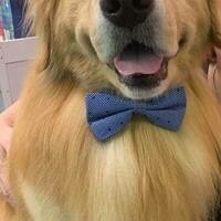 William3rd@mastodon.social