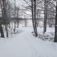 MRNSF@mastodon.social