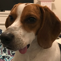 paullenhardt@mastodon.social