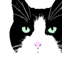 CartyBoston@mastodon.roundpond.net