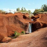 freeagent@mastodon.sdf.org