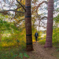 Jonas_Bostrom@mastodon.nu