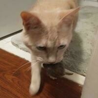 mbrailer@mstdn.social