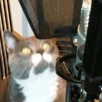 rlpaulprodn@mstdn.social