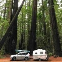 ray@artistsville.org