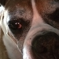 Sfwmson@universeodon.com