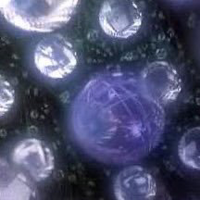 hfentonmudd@zeroes.ca