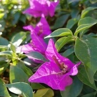 GRA3432@mastodon.world