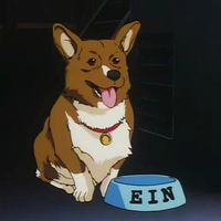 autdev@mastodon.world