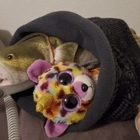 JizzelEtBass@kolektiva.social