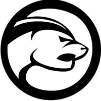 WebConsult Profile Photo