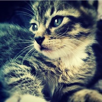 @saoriK1116's avatar